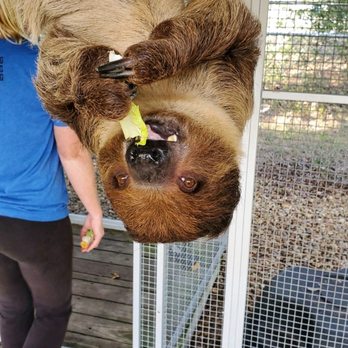 Amazing Animals - Zoos Near Me - Saint Cloud, Florida