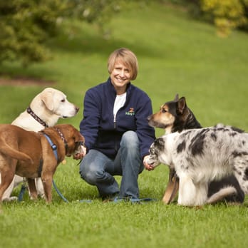 The Dog Digs - Pet Training Near Me The Dog Digs - Pet Training Near Me