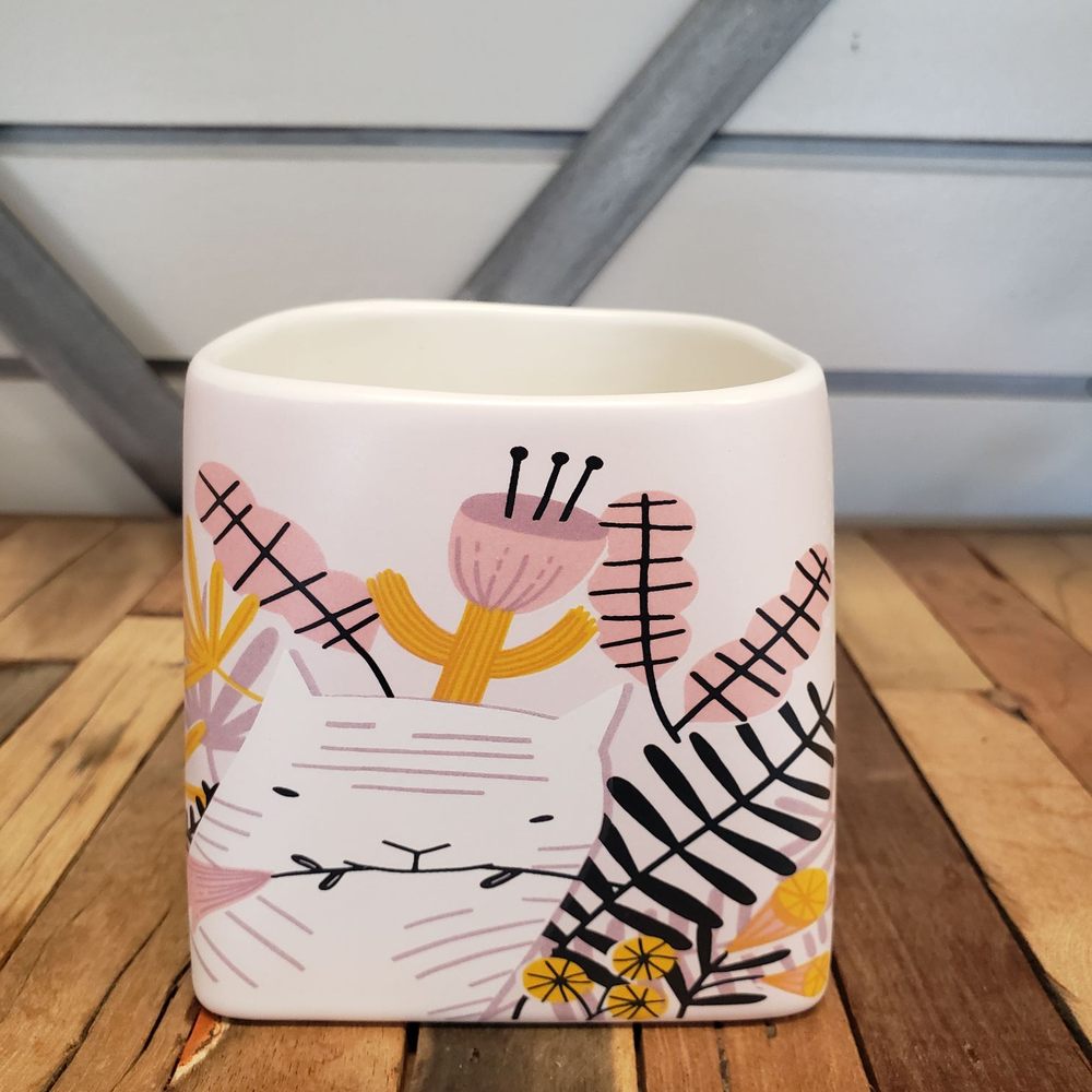 Cute planter!!! Or random container for your everyday needs Cute planter!!! Or random container for your everyday needs