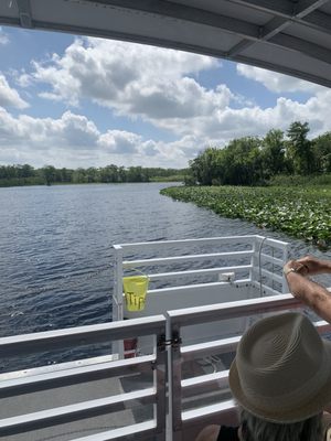 Blue Spring Adventures by null