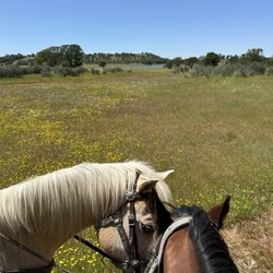 Lake Camanche - Watershed trail
