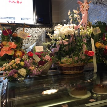 Kulu Kulu - They just opened this location a few days ago. - Desserts Near Me - Honolulu, Hawaii Kulu Kulu - They just opened this location a few days ago. - Desserts Near Me - Honolulu, Hawaii