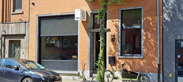 Publiek by null