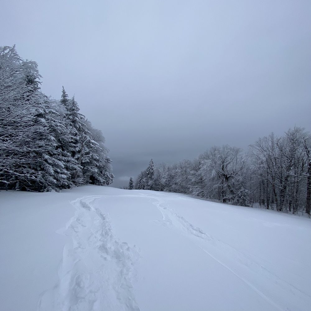 Magic Mountain Ski Area - Fresh tracks - Ski Resorts Near Me - Londonderry, Vermont Magic Mountain Ski Area - Fresh tracks - Ski Resorts Near Me - Londonderry, Vermont