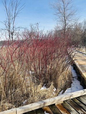 Westwood Hills Nature Center by null