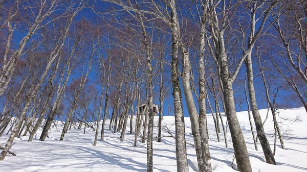 Muikamachi Hakkaisan Ski by null