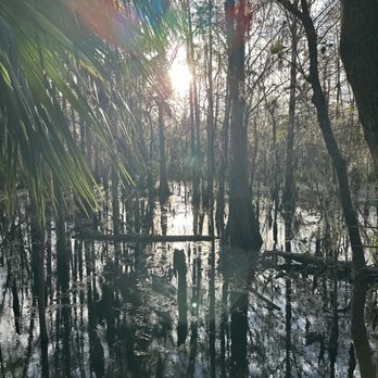 Black Bear Wilderness Area - Hiking Near Me - Sanford, Florida