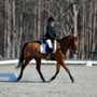 Photo of Blue Ribbon Riding Academy