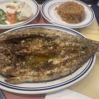 Sabry's - Branzino - Seafood Near Me - Astoria, New York