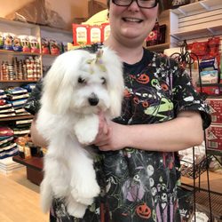 The Prince and the Pawper - AMAZING GROOMER AND ESTABLISHMENT a mere 4 days after horrible experience with another establishment.
