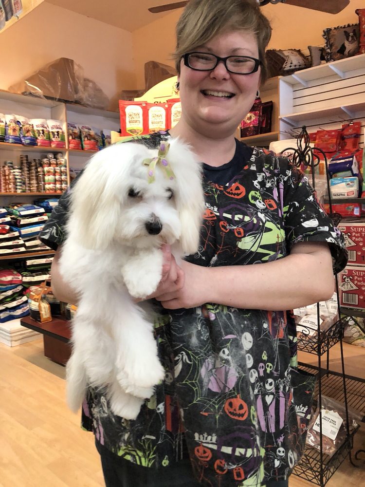 The Prince and the Pawper Image
