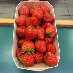 Halles Marceau - Strawberries