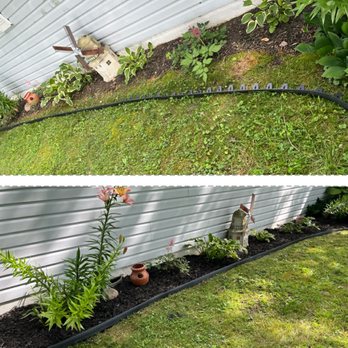 Duck’s & Bell’s - Lawn Services Near Me Duck’s & Bell’s - Lawn Services Near Me