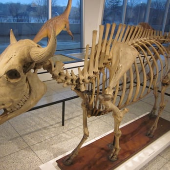 New Jersey State Museum - Museums Near Me - Trenton, New Jersey