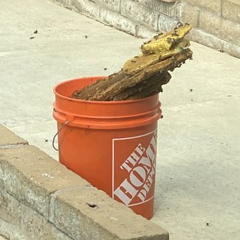 Affordable Bee Services - More honey comb taken out from our roof - Pest Control Near Me - Riverside, California Affordable Bee Services - More honey comb taken out from our roof - Pest Control Near Me - Riverside, California