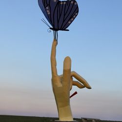 Hand with a stake in it, still supporting the delicate beauty of a butterfly.