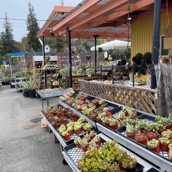 Broadway Terrace Nursery - Nurseries & Gardening Near Me - Oakland, California Broadway Terrace Nursery - Nurseries & Gardening Near Me - Oakland, California
