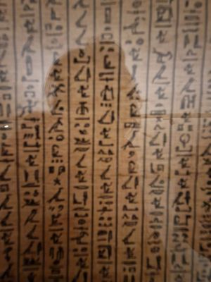 Museo Egizio by null