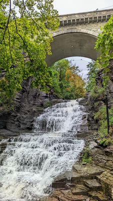 Cascadilla Gorge Trail by null