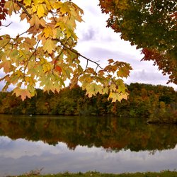 Hines Park