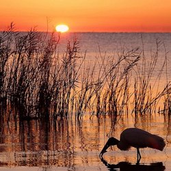The Glades Rv Resort, Golf And Marina