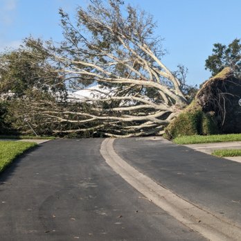 Ultimate Lawn Care & Tree Division - Hurricane Ian - 2022 - Tree Services Near Me Ultimate Lawn Care & Tree Division - Hurricane Ian - 2022 - Tree Services Near Me