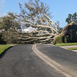 Ultimate Lawn Care & Tree Division - Hurricane Ian - 2022