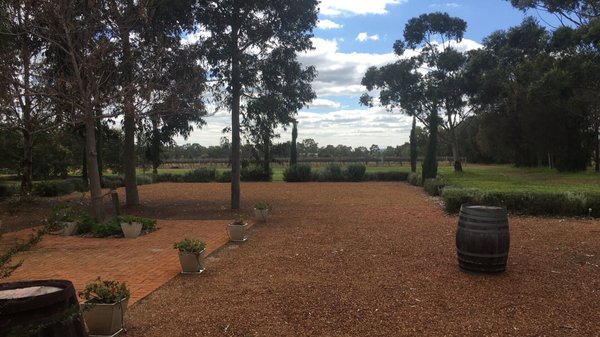 Faber Vineyard by null