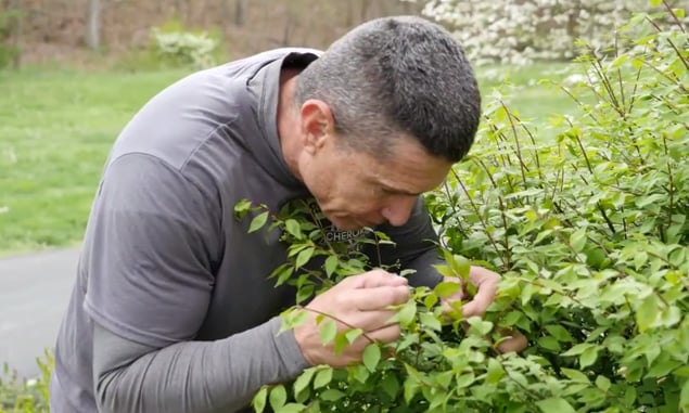 Cherokee Tree Care - tree service in Nixa, MO