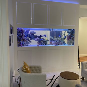 Acrylic Pros - Aquarium Services Near Me