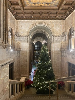 The Woolworth Building by null