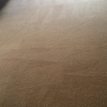 Green Carpet Care - Stainless carpets after green carpet care took care of me! - Carpet Cleaning Near Me Green Carpet Care - Stainless carpets after green carpet care took care of me! - Carpet Cleaning Near Me