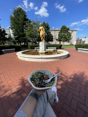 sweetgreen by null
