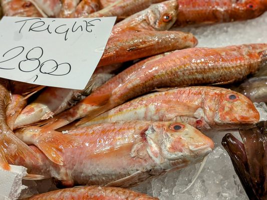 Rialto Mercato by null