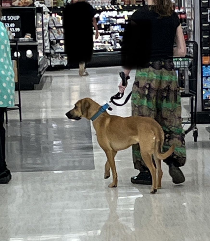 SAFEWAY Updated August 2024 19 Photos & 31 Reviews 1500 E Cedar