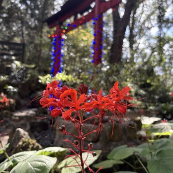 Cedar Lakes Woods and Gardens - Flower and Torii - Botanical Gardens Near Me - Williston, Florida