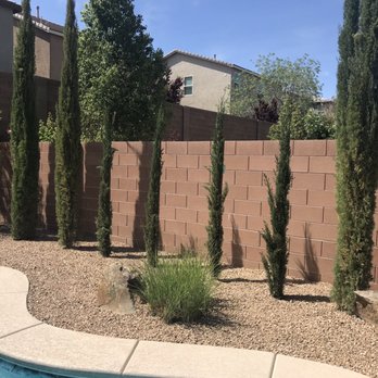 Advantage Landscape - 4 new cypress trees - Landscaping Near Me - Las Vegas, Nevada