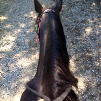 Sarah's Pony Rides - Horseback Riding Near Me - Willow Springs, Illinois