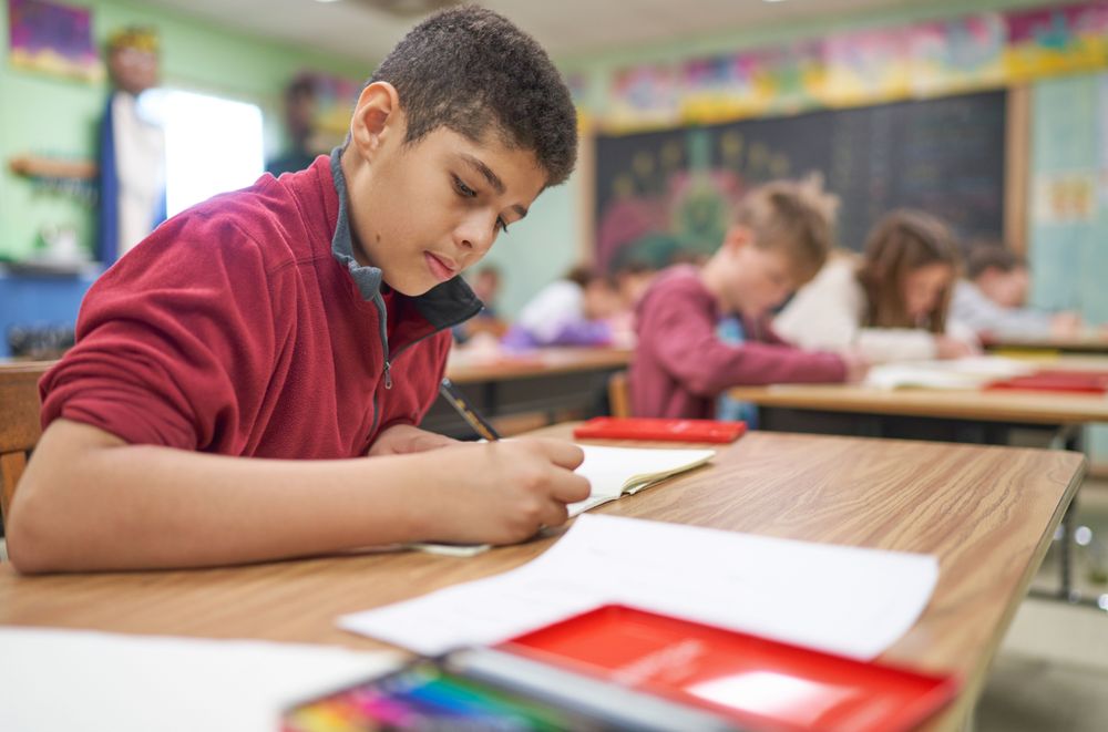 THE WALDORF SCHOOL OF TAMPA BAY Updated October 2024 35 Photos & 18