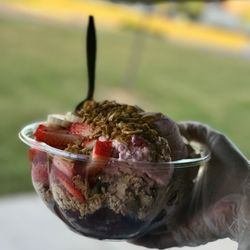King of Acai - Gelato