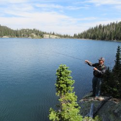Blacktooth Excursions