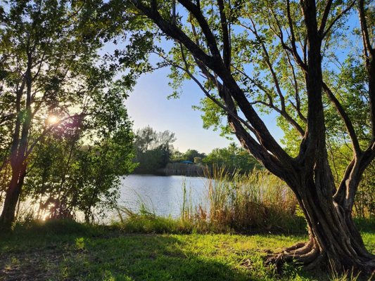 West Lake Park by null