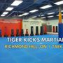 Tiger Kicks Martial Arts