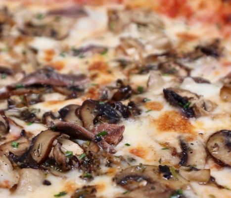 Big Parm by null