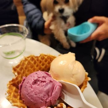 Jeni's Splendid Ice Creams - Ice Cream & Frozen Yogurt Near Me - Nashville, Tennessee Jeni's Splendid Ice Creams - Ice Cream & Frozen Yogurt Near Me - Nashville, Tennessee