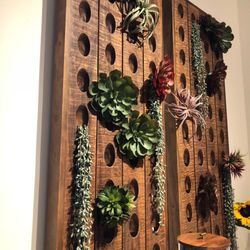 Pottery Barn - I want this... Succulent wall display