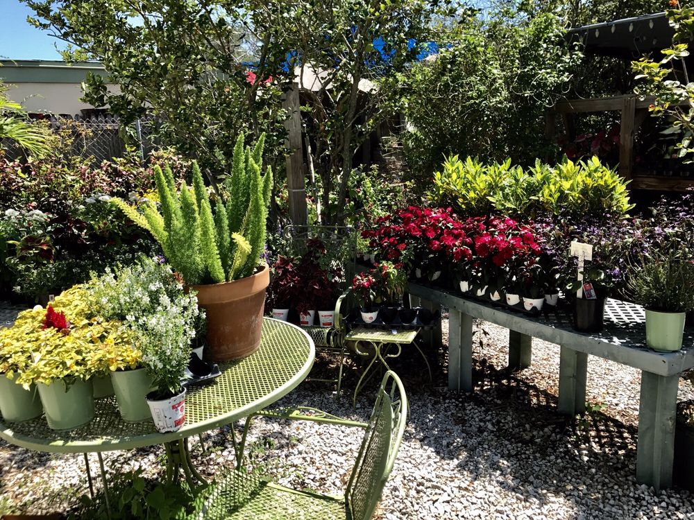 EARL’S GARDEN SHOP NURSERY CLOSED Updated June 2024 11 Reviews