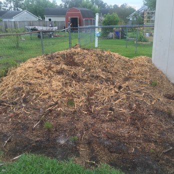 TreeCraft - Tree Services Near Me - Jacksonville, North Carolina TreeCraft - Tree Services Near Me - Jacksonville, North Carolina