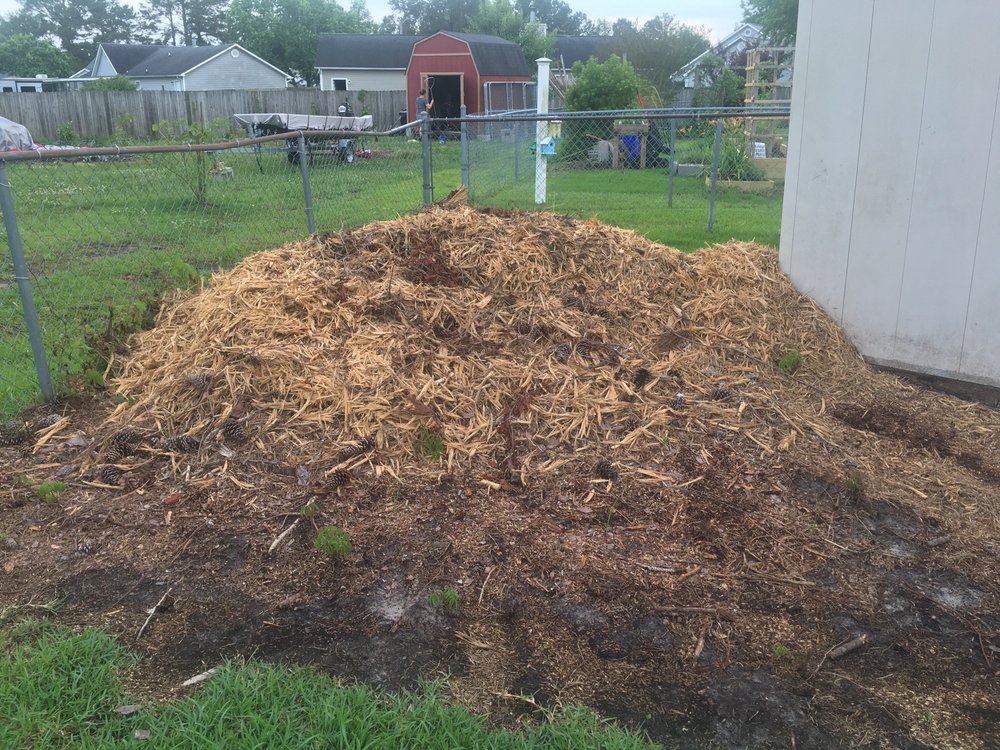 TREECRAFT 205 America Ct, Jacksonville, North Carolina Tree