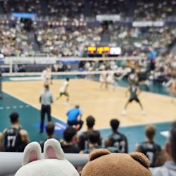 University of Hawaii Rainbow Warrior Volleyball - 3.30.24